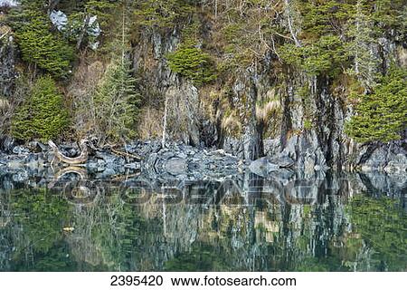 Rocky shoreline and trees reflected in the waters of Harrison Lagoon, Chugach National Forest; Alaska, United States of America View Large Photo Image Stock Image - Rocky shoreline and trees reflected in the waters of Harrison Lagoon, Chugach National Forest; Alaska, United States of America. Fotosearch