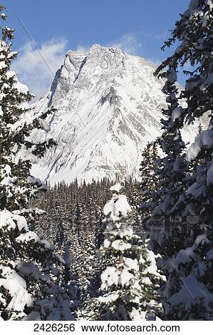 Rugged peak of a mountain in the Canadian Rockies; Banff, Alberta, Canada View Large Photo Image Stock Photograph - Rugged peak of a mountain in the Canadian Rockies; Banff, Alberta, Canada. Fotosearch