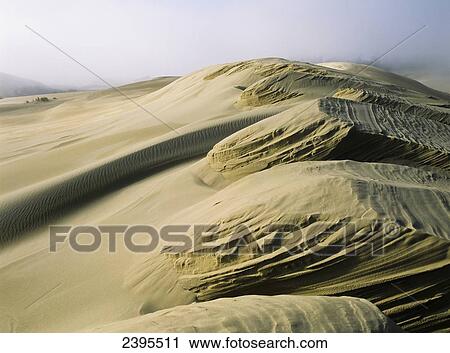 Sand patterns created by the wind; Lakeside, Oregon, United States of America View Large Photo Image Stock Image - Sand patterns created by the wind; Lakeside, Oregon, United States of America. Fotosearch
