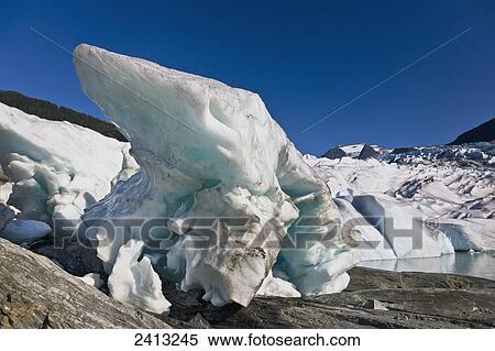 Seracs at the retreating edge of Mendenhall glacier; Juneau, Alaska, United States of America View Large Photo Image Stock Photography - Seracs at the retreating edge of Mendenhall glacier; Juneau, Alaska, United States of America. Fotosearch