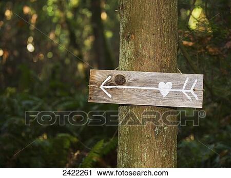 Stock Image - Sign on a tree pointing to love; Langley, British Columbia, Canada. Fotosearch