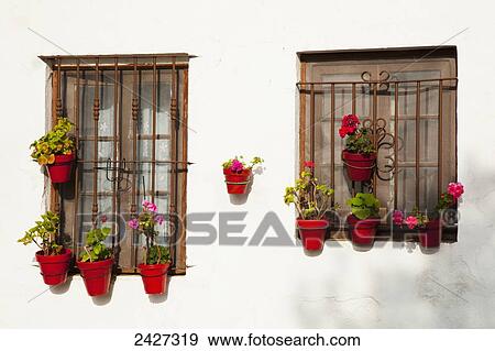 Small flower pots decorate windows, Sancti Petri, near Chiclana de la Frontera; Andalusia, Spain View Large Photo Image Stock Photo - Small flower pots decorate windows, Sancti Petri, near Chiclana de la Frontera; Andalusia, Spain. Fotosearch