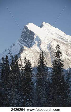 Snow covered mountain peak with silhouetted evergreen trees in the foreground and blue sky; Banff, Alberta, Canada View Large Photo Image Picture - Snow covered mountain peak with silhouetted evergreen trees in the foreground and blue sky; Banff, Alberta, Canada. Fotosearch