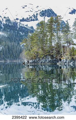Stock Image - Snow covered mountains and shoreline with trees reflected in the waters of Harrison Lagoon, Chugach National Forest; Alaska, United States of America. Fotosearch