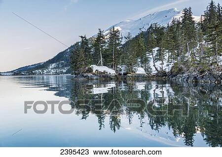 Stock Image - Snow covered mountains and shoreline with trees reflected in the waters of Harrison Lagoon, Chugach National Forest; Alaska, United States of America. Fotosearch