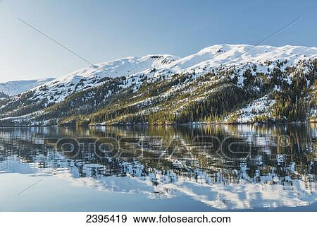 Snow covered mountains and shoreline with trees reflected in the waters of Harrison Lagoon, Chugach National Forest; Alaska, United States of America View Large Photo Image Stock Photo - Snow covered mountains and shoreline with trees reflected in the waters of Harrison Lagoon, Chugach National Forest; Alaska, United States of America. Fotosearch