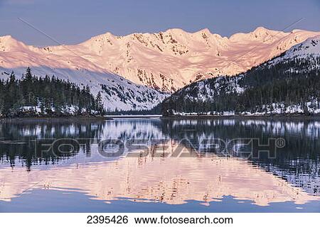 Stock Photograph - Snow covered mountains and shoreline with trees reflected in the waters of Harrison Lagoon, Chugach National Forest; Alaska, United States of America. Fotosearch