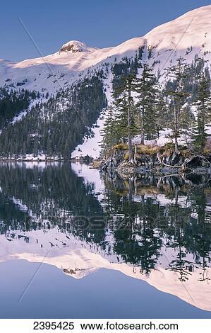 Stock Photography - Snow covered mountains and shoreline with trees reflected in the waters of Harrison Lagoon, Chugach National Forest; Alaska, United States of America. Fotosearch
