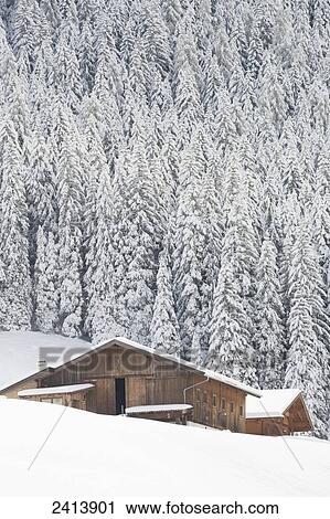 Snow covered wooden barn on hillside with snow covered evergreen trees; Hintertux, Austria View Large Photo Image Stock Image - Snow covered wooden barn on hillside with snow covered evergreen trees; Hintertux, Austria. Fotosearch