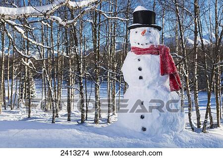 Snowman wearing a red scarf and black top hat in a wooded park with snow covered mountains and blue sky in the background; Anchorage, Alaska, United States of America View Large Photo Image Picture - Snowman wearing a red scarf and black top hat in a wooded park with snow covered mountains and blue sky in the background; Anchorage, Alaska, United States of America. Fotosearch