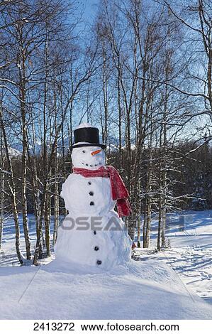Snowman wearing a red scarf and black top hat in a wooded park with snow covered mountains and blue sky in the background; Anchorage, Alaska, United States of America View Large Photo Image Stock Image - Snowman wearing a red scarf and black top hat in a wooded park with snow covered mountains and blue sky in the background; Anchorage, Alaska, United States of America. Fotosearch