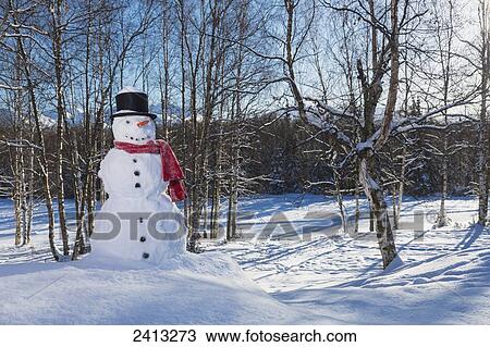 Snowman wearing a red scarf and black top hat in a wooded park with snow covered mountains and blue sky in the background; Anchorage, Alaska, United States of America View Large Photo Image Stock Image - Snowman wearing a red scarf and black top hat in a wooded park with snow covered mountains and blue sky in the background; Anchorage, Alaska, United States of America. Fotosearch
