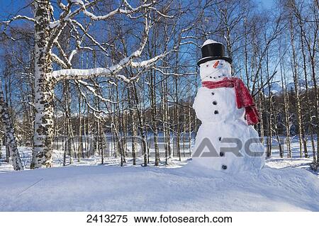 Snowman wearing a red scarf and black top hat in a wooded park with snow covered mountains and blue sky in the background; Anchorage, Alaska, United States of America View Large Photo Image Stock Photography - Snowman wearing a red scarf and black top hat in a wooded park with snow covered mountains and blue sky in the background; Anchorage, Alaska, United States of America. Fotosearch