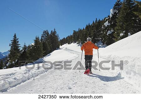 Snowshoeing in the Swiss Alps; San Bernardino, Grisons, Switzerland View Large Photo Image Stock Image - Snowshoeing in the Swiss Alps; San Bernardino, Grisons, Switzerland . Fotosearch