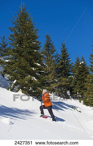 Snowshoeing in the Swiss Alps; San Bernardino, Grisons, Switzerland View Large Photo Image Stock Image - Snowshoeing in the Swiss Alps; San Bernardino, Grisons, Switzerland. Fotosearch