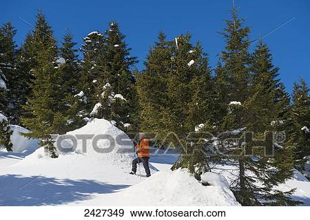 Stock Photo - Snowshoeing in the Swiss Alps; San Bernardino, Grisons, Switzerland . Fotosearch