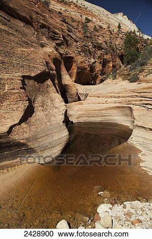 Stream bed in Zion Canyon, Zion National Park; Utah, United States of America View Large Photo Image Stock Image - Stream bed in Zion Canyon, Zion National Park; Utah, United States of America. Fotosearch
