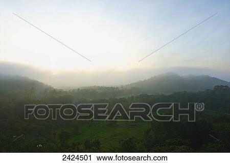 Sunlight glowing over the horizon and a lush landscape of grass and trees; Ulpotha, Embogama, Sri Lanka View Large Photo Image Stock Image - Sunlight glowing over the horizon and a lush landscape of grass and trees; Ulpotha, Embogama, Sri Lanka. Fotosearch