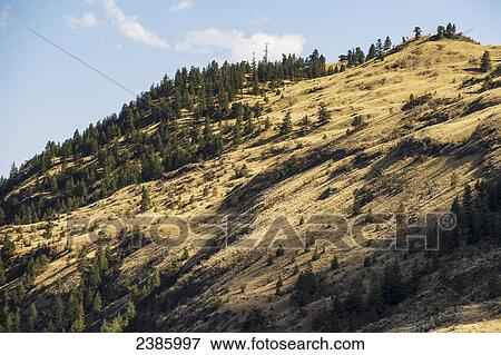 Sunlight shining on an arid mountain; Kelowna, British Columbia, Canada View Large Photo Image Stock Photo - Sunlight shining on an arid mountain; Kelowna, British Columbia, Canada. Fotosearch