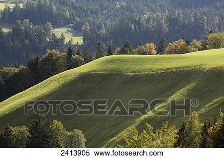 Sunlit green hillside with trees in autumn; Aschau, Austria View Large Photo Image Stock Photography - Sunlit green hillside with trees in autumn; Aschau, Austria. Fotosearch