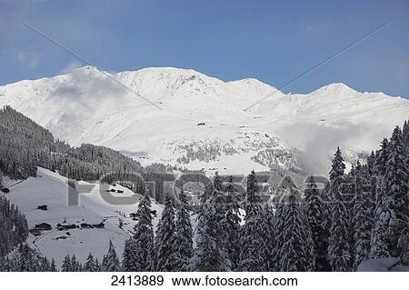 Sunlit snow covered mountain range with snow covered trees shadowed in the foreground and blue sky; Hintertux, Austria View Large Photo Image Stock Photo - Sunlit snow covered mountain range with snow covered trees shadowed in the foreground and blue sky; Hintertux, Austria. Fotosearch