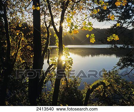 Sunrise reflected in Eel Lake; Winchester Bay, Oregon, United States of America View Large Photo Image Stock Image - Sunrise reflected in Eel Lake; Winchester Bay, Oregon, United States of America. Fotosearch
