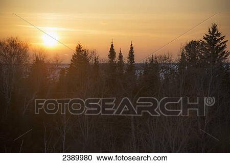 Sunset in a golden sky with trees in the foreground, Hecla-Grindstone Provincial Park; Riverton, Manitoba, Canada View Large Photo Image Stock Image - Sunset in a golden sky with trees in the foreground, Hecla-Grindstone Provincial Park; Riverton, Manitoba, Canada. Fotosearch