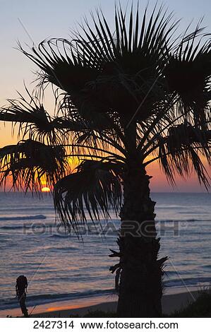 Picture - Sunset over the ocean, near Zahora; Andalucia, Spain. Fotosearch