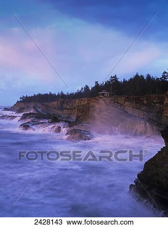 Surf breaks on the rocks at Shore Acres; Charleston, Oregon, United States of America View Large Photo Image Stock Image - Surf breaks on the rocks at Shore Acres; Charleston, Oregon, United States of America. Fotosearch