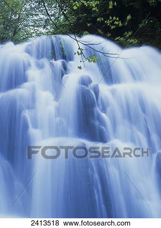 Sweet Creek waterfalls along the hiking trail; Mapleton, Oregon, United States of America View Large Photo Image Stock Photo - Sweet Creek waterfalls along the hiking trail; Mapleton, Oregon, United States of America. Fotosearch