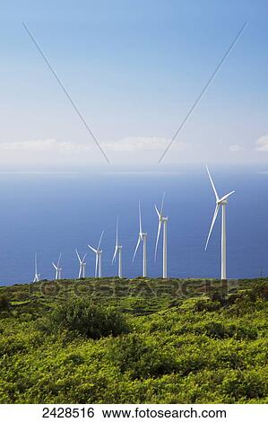 The Auwahi Wind Farm in Kaupo; Maui, Hawaii, United States of America View Large Photo Image Stock Photograph - The Auwahi Wind Farm in Kaupo; Maui, Hawaii, United States of America. Fotosearch