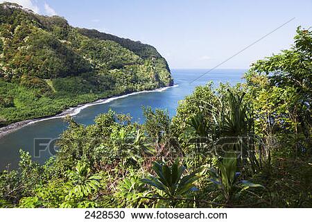The lush green cliffs along the road to Hana; Maui, Hawaii, United States of America View Large Photo Image Stock Image - The lush green cliffs along the road to Hana; Maui, Hawaii, United States of America. Fotosearch