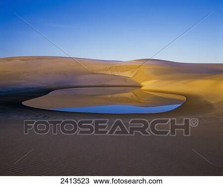 Stock Image - The water table raises above the sand during the rainy season; Lakeside, Oregon, United States of America. Fotosearch