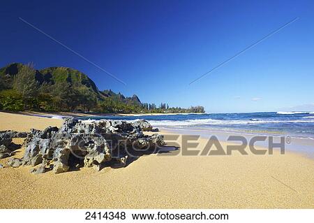Stock Photo - Tunnels beach; Kauai, Hawaii, United States of America. Fotosearch
