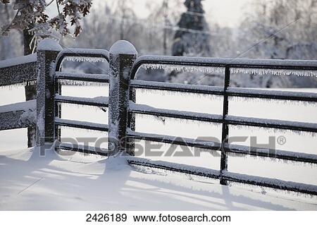 Two gates covered in snow and icicles in winter; West Bolton, Quebec, Canada View Large Photo Image Stock Photo - Two gates covered in snow and icicles in winter; West Bolton, Quebec, Canada. Fotosearch