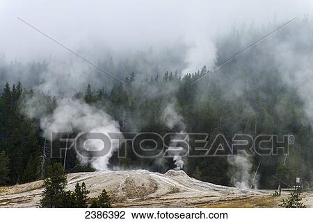 Stock Image - Upper Geyser Basin, Yellowstone National Park; Wyoming, United States of America. Fotosearch