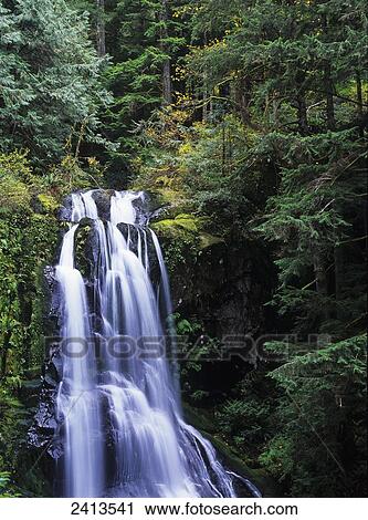 Upper Kentucky Falls plummets through the Coast Range; Florence, Oregon, United States of America View Large Photo Image Stock Image - Upper Kentucky Falls plummets through the Coast Range; Florence, Oregon, United States of America. Fotosearch