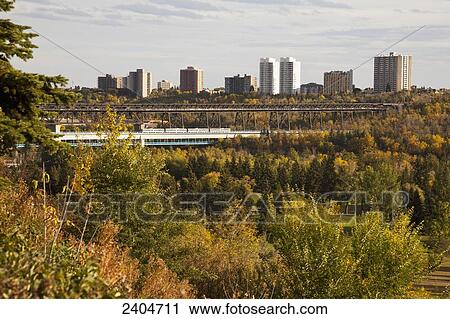 View of the High Level Bridge and Light Rail Transit in the Edmonton river valley in autumn; Edmonton, Alberta, Canada View Large Photo Image Stock Image - View of the High Level Bridge and Light Rail Transit in the Edmonton river valley in autumn; Edmonton, Alberta, Canada. Fotosearch
