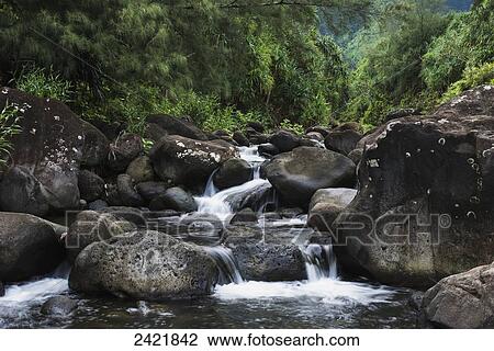 Water flowing over rocks in a river leading to Hanakapiai Beach; Haena, Kauai, Hawaii, United States of America View Large Photo Image Stock Image - Water flowing over rocks in a river leading to Hanakapiai Beach; Haena, Kauai, Hawaii, United States of America. Fotosearch