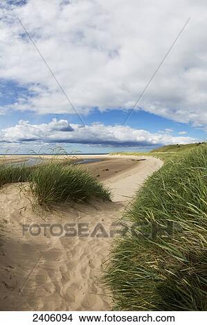 Water flows across a sandy landscape; Northumberland, England View Large Photo Image Picture - Water flows across a sandy landscape; Northumberland, England. Fotosearch
