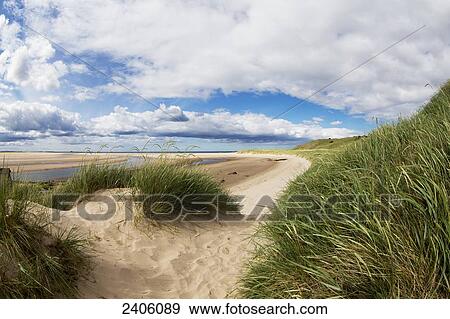 Water flows across a sandy landscape; Northumberland, England View Large Photo Image Stock Photo - Water flows across a sandy landscape; Northumberland, England. Fotosearch