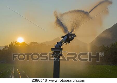 Stock Photograph - Watering the lawn at sunset; Locarno, Ticino, Switzerland. Fotosearch