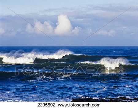 Waves break along the Oregon coast; Florence, Oregon, United States of America View Large Photo Image Stock Image - Waves break along the Oregon coast; Florence, Oregon, United States of America. Fotosearch