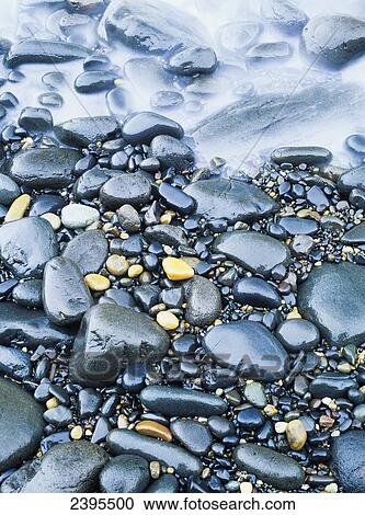 Wet rocks on the shore in the tide; Yachats, Oregon, United States of America View Large Photo Image Stock Image - Wet rocks on the shore in the tide; Yachats, Oregon, United States of America. Fotosearch