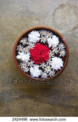Stock Photograph - White and red flowers floating in water in a bowl; Ulpotha, Embogama, Sri Lanka. Fotosearch