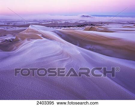 Stock Photography - Winter carves and decorates the Umpqua Dunes, Oregon Dunes National Recreation Area; Lakeside, Oregon, United States of America. Fotosearch