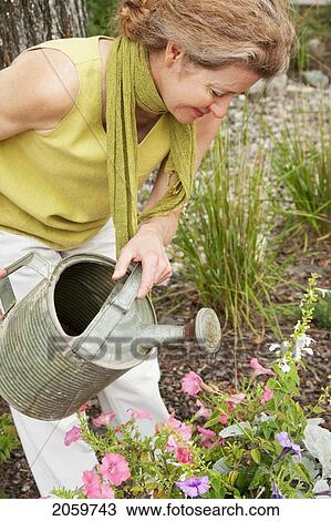 Woman With Watering Can In Garden, Manitoba, Canada View Large Photo Image Stock Image - Woman With Watering Can In Garden, Manitoba, Canada. Fotosearch