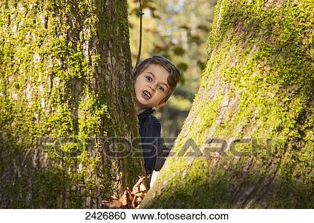 Stock Image - Young boy peering out between two trees; Langley, British Columbia, Canada. Fotosearch