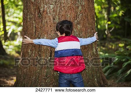 Young boy wrapping his arms around a huge tree trunk; Langley, British Columbia, Canada View Large Photo Image Stock Image - Young boy wrapping his arms around a huge tree trunk; Langley, British Columbia, Canada. Fotosearch
