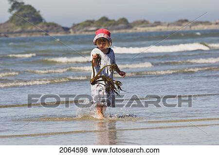 Young Girl Examines Piece Of Kelp Found On Beach, Chesterman Beach, Tofino, British Columbia, Canada. View Large Photo Image Stock Photo - Young Girl Examines Piece Of Kelp Found On Beach, Chesterman Beach, Tofino, British Columbia, Canada.. Fotosearch
